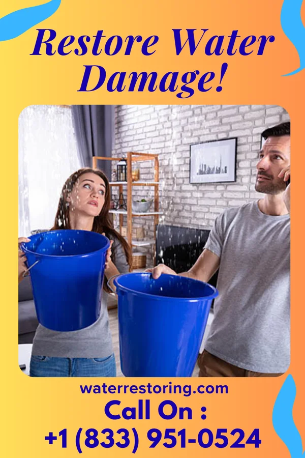 water restoration Platinum Damage Restoration & Sons Pocahontas