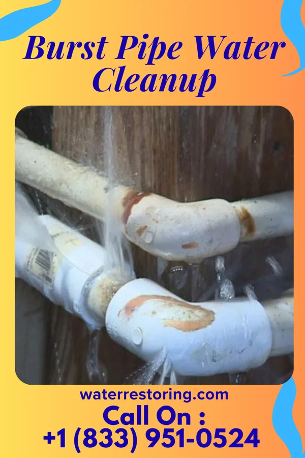 Burst Pipe Water Cleanup in Pocahontas, VA