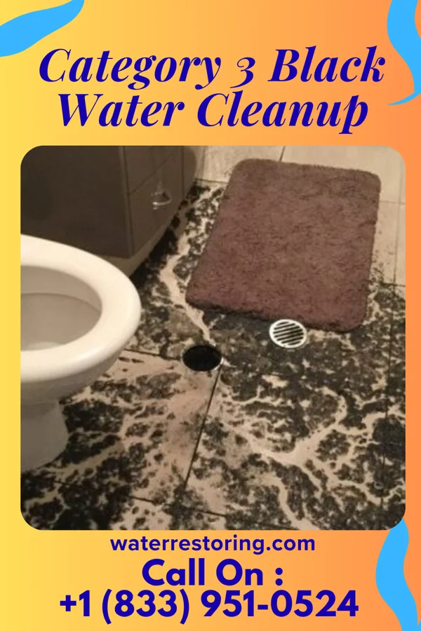 Category 3 Black Water Cleanup in Pocahontas, VA