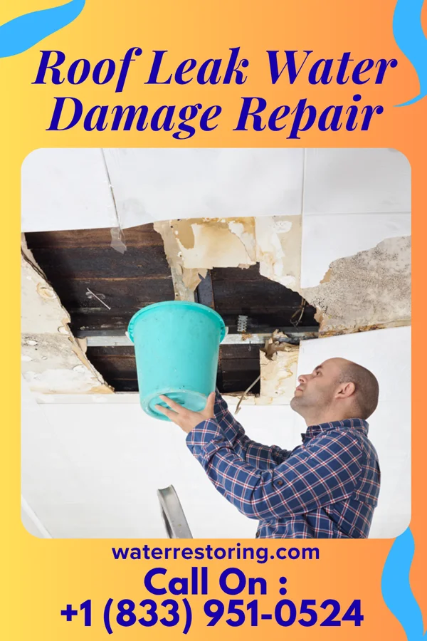 Roof Leak Water Damage Repair in Pocahontas, VA