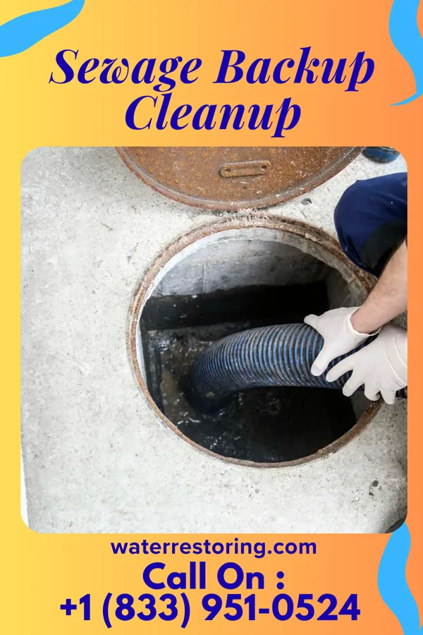 Sewage Backup Cleanup in Pocahontas, VA