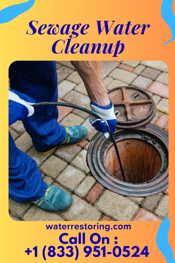 Sewage Water Cleanup in Pocahontas, VA