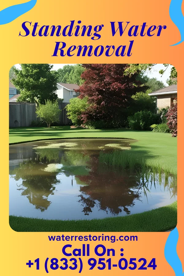 Standing Water Removal in Pocahontas, VA